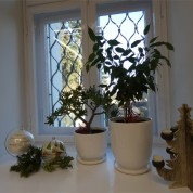 Powiększ zdjęcie 22