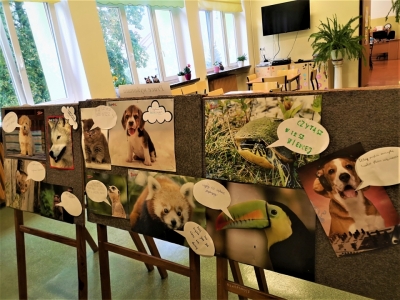 Biblioteczna kampania czytelnicza