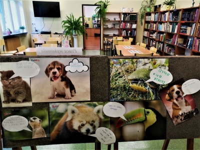 Biblioteczna kampania czytelnicza