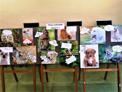 Biblioteczna kampania czytelnicza