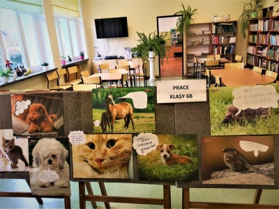 Biblioteczna kampania czytelnicza