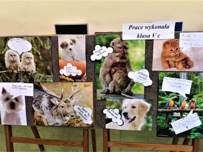 Biblioteczna kampania czytelnicza