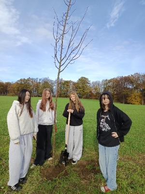 Eko-Inicjatywa – Sadzenie miododajnych drzewek