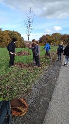 Eko-Inicjatywa – Sadzenie miododajnych drzewek