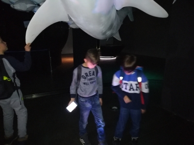 Mikołajkowa wycieczka do Wrocławia