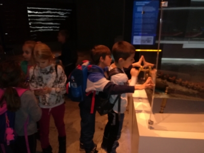 Mikołajkowa wycieczka do Wrocławia