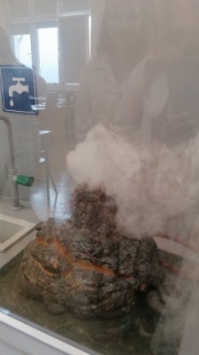 Młodzi odkrywcy na start !