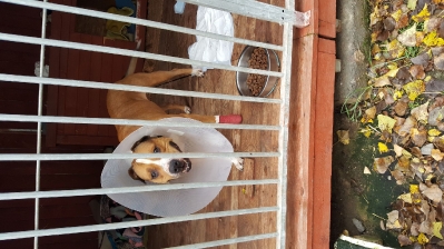 Warto pomagać!