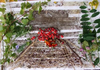 XIX Powiatowy Dzień Regionalisty