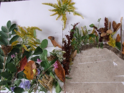 XIX Powiatowy Dzień Regionalisty