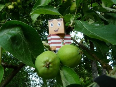 Zachowaj Trzeźwy Umysł