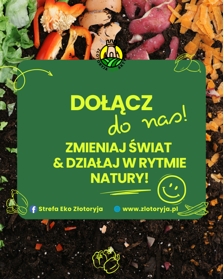 Tło złożone z różnorodnych bioodpadów – liści, skorupek jaj, skórek warzyw i owoców. Na środku zielone pole z napisem: „Dołącz do nas! Zmieniaj świat & działaj w rytmie natury!”. Na dole adres strony internetowej www.zlotoryja.pl oraz nazwa profilu Facebook „Strefa Eko Złotoryja”. Logo „Złotoryja EkoAktywna”.